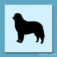 Bernese Mountain Dog Breed