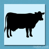 Dairy Cow Bovine