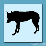 Coyote Wild Dog Wolf