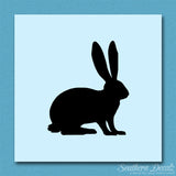 Jack Rabbit Bunny